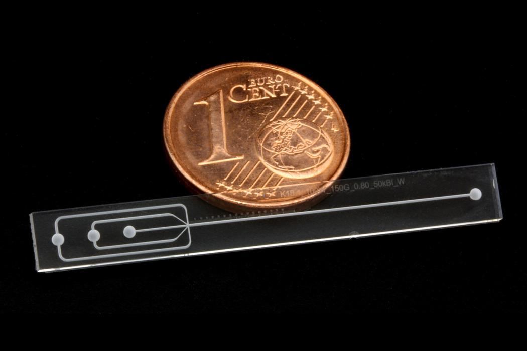 Fotografie eines mikrofluidischen Nanopartikelreaktors aus Glas im Größenvergleich mit einer 1-Cent-Münze.