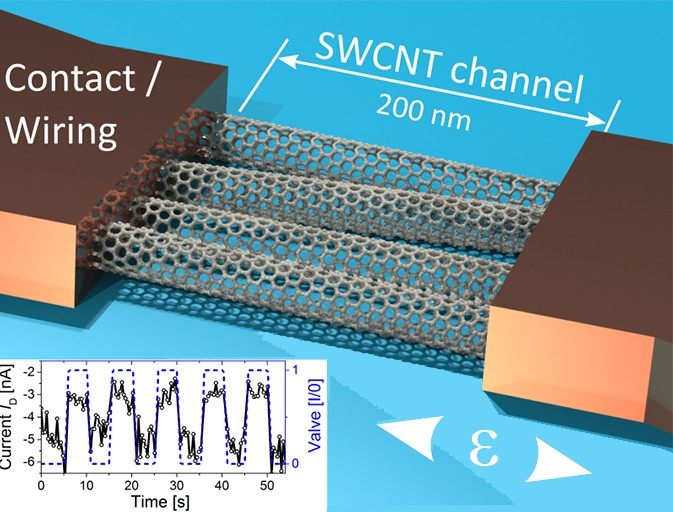 CNT-Sensoren auf einer MEMS Membranstruktur