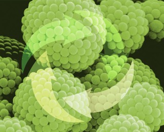 Nanomaterials Circularity Nanomaterials Circularity